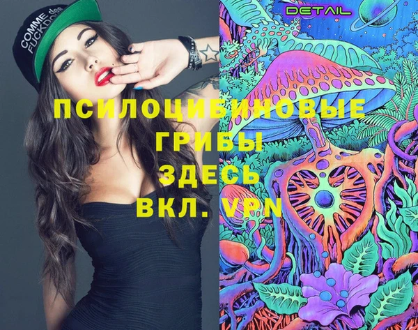 прущие крисы Дмитровск