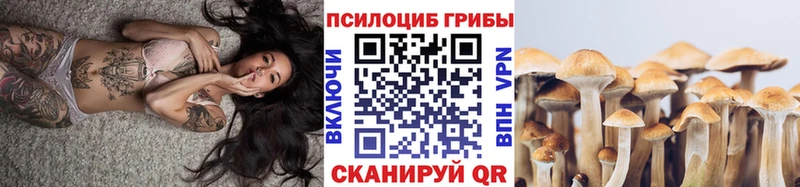 Галлюциногенные грибы GOLDEN TEACHER Купить Калининск
